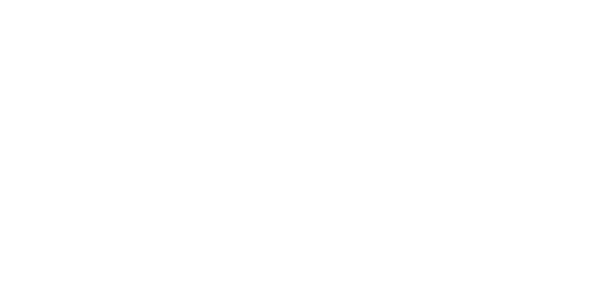People Performance Professionals